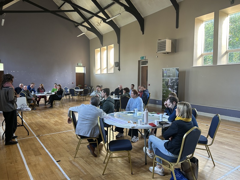 IE-NARR workshop at the Kilrush Community Centre